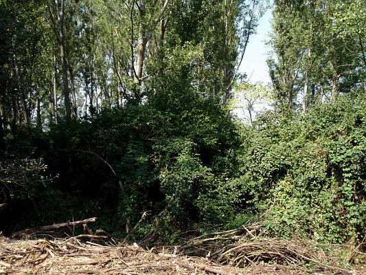 Školenie